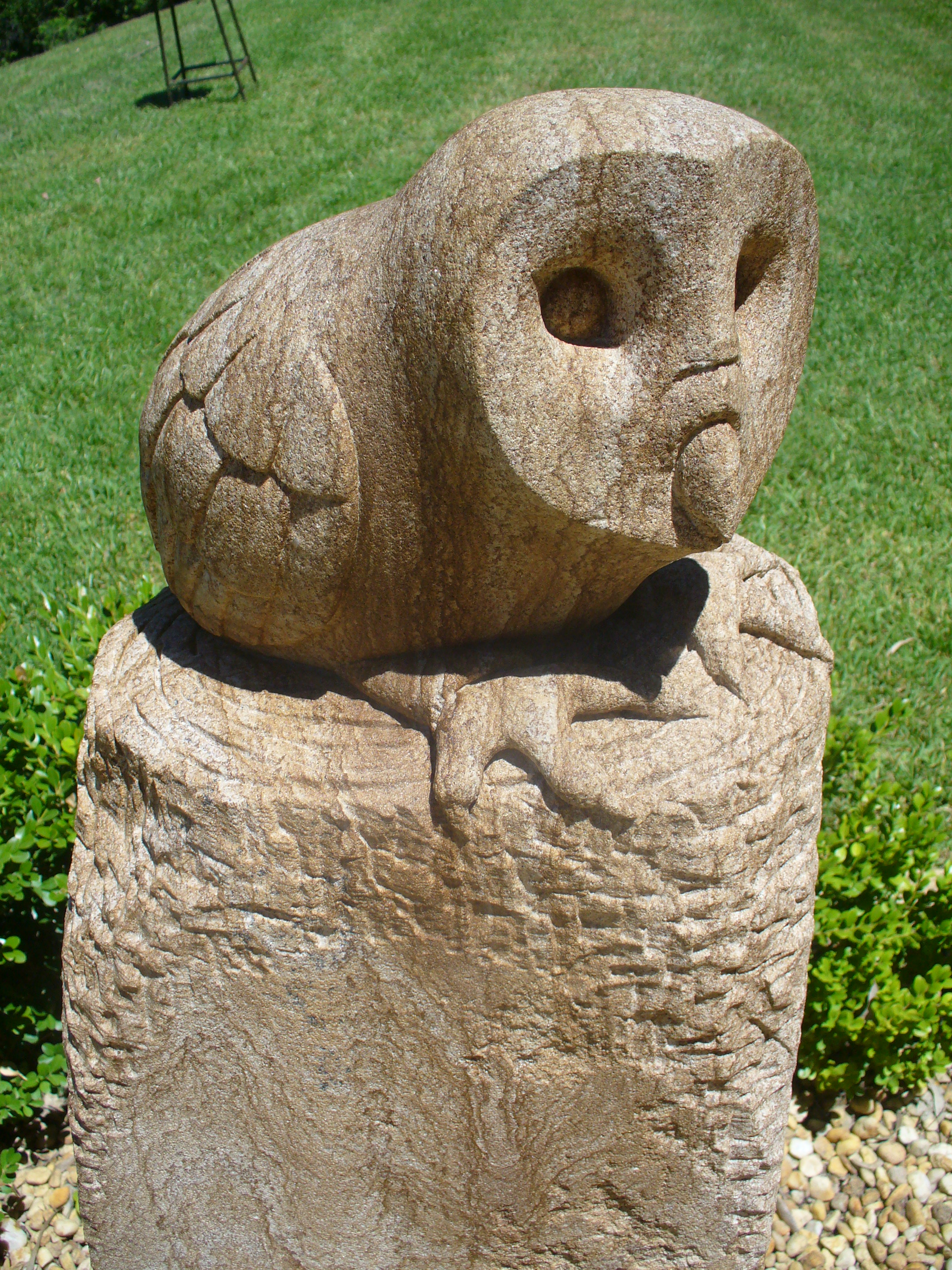 Owl 3